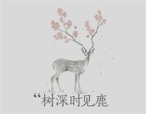 林深見鹿意思|原來「林深時見鹿」出自李白的這首詩！